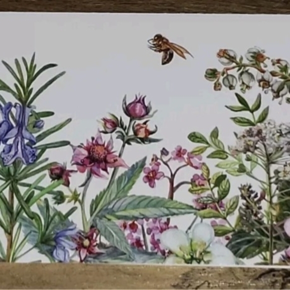 Other - Vintage Floral Botanical Art Print Blank Greeting Card